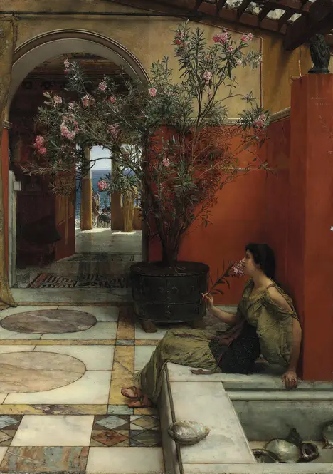 An Oleander by Lawrence Alma-Tadema